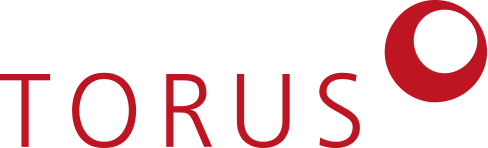 Initiative TORUS e. V.